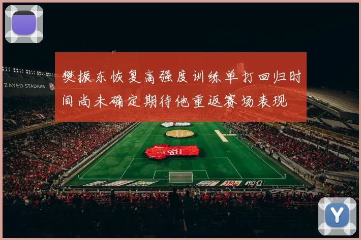 樊振东恢复高强度训练单打回归时间尚未确定期待他重返赛场表现